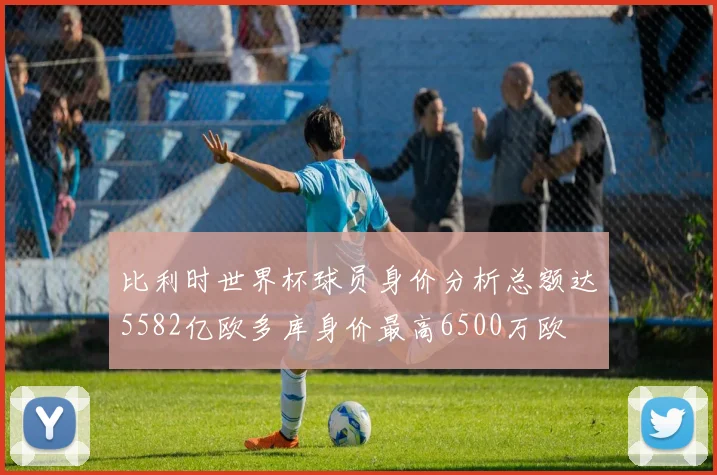 比利时世界杯球员身价分析总额达5582亿欧多库身价最高6500万欧